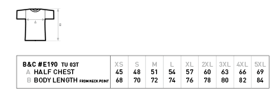 T-Shirt "Karlsruhe - You`ll never walk alone" navy